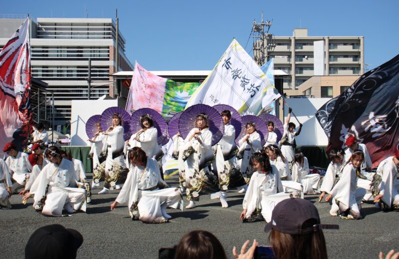 よさこいフェスタIN新川市まつりを開催しました🎏✨ の画像